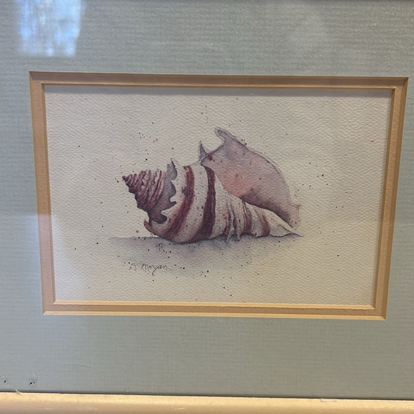 (3) D Morgan seashell framed prints - Picture 3 of 7